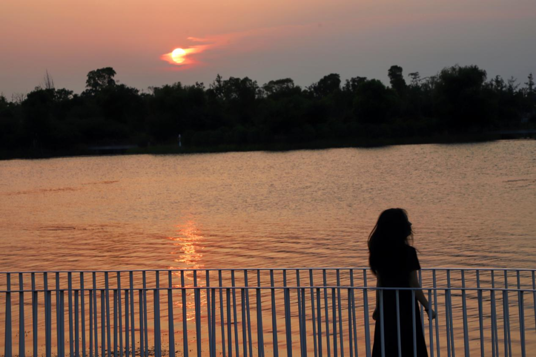 1710988653491492.png 640 (2).png